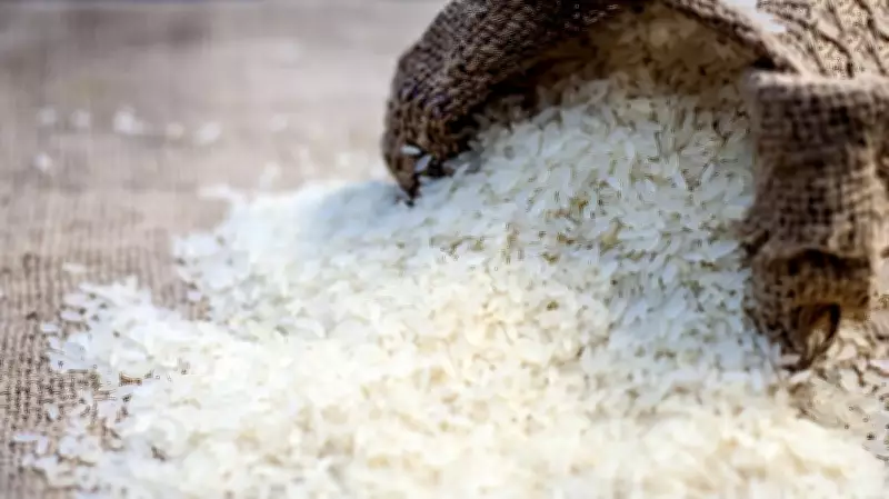 DMK's Welfare Evolution: From Rice Politics to Breakfast Schemes in Tamil Nadu