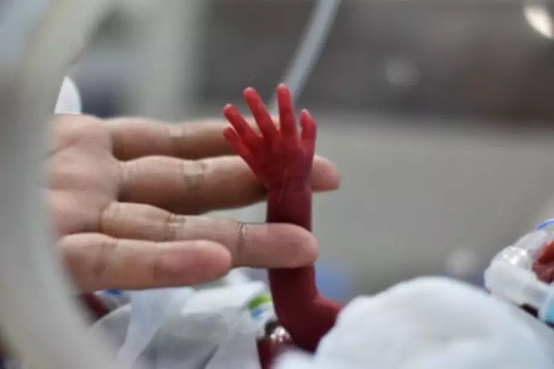 Doctors Save Premature Newborn After 17-Day NICU Care in Bathinda