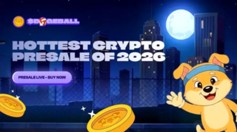 Dogeball Timeline Analysis: High-Growth Cryptocurrency Opportunity on May 2