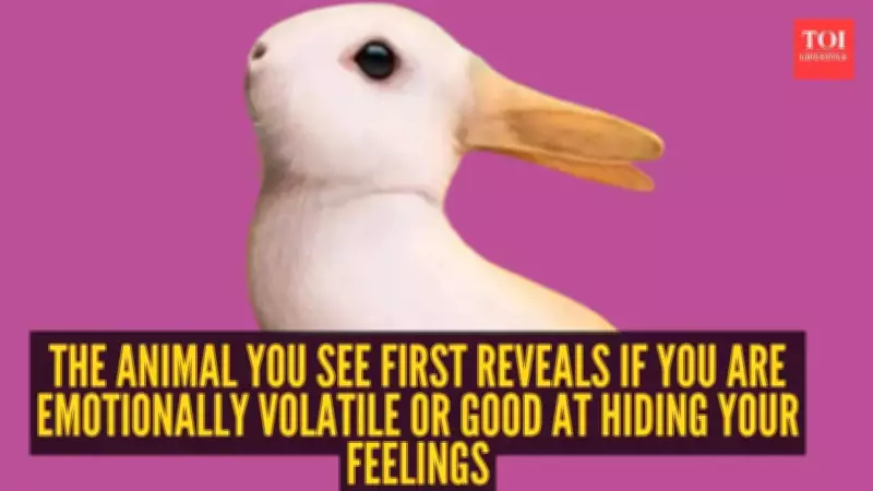 Duck or Rabbit First? Viral TikTok Illusion Reveals Your Hidden Personality Traits