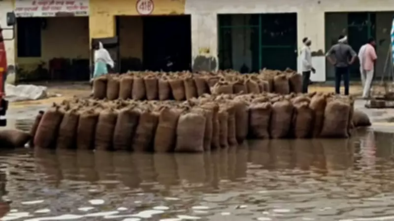 Dust Storm in Western UP Claims 3 Lives, Injures 2; Crops and Houses Damaged