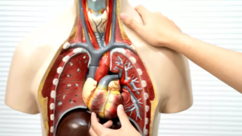 Eat Smart for Every Organ: Foods That Support Lungs, Liver, Gut, and Eyes