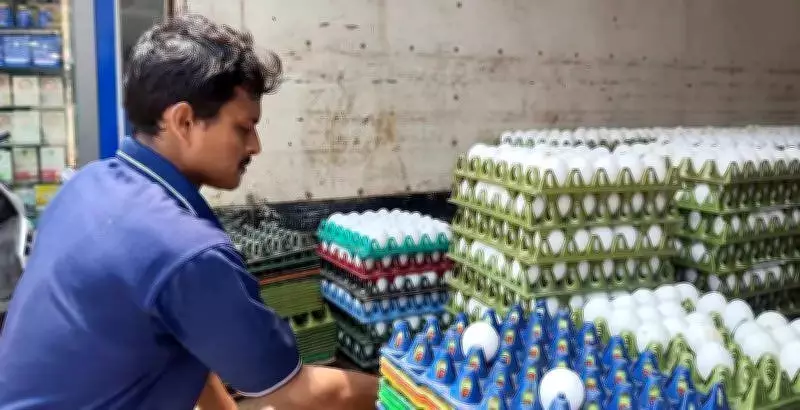 Egg Prices in Mangaluru Rise After West Asia Crisis Slump