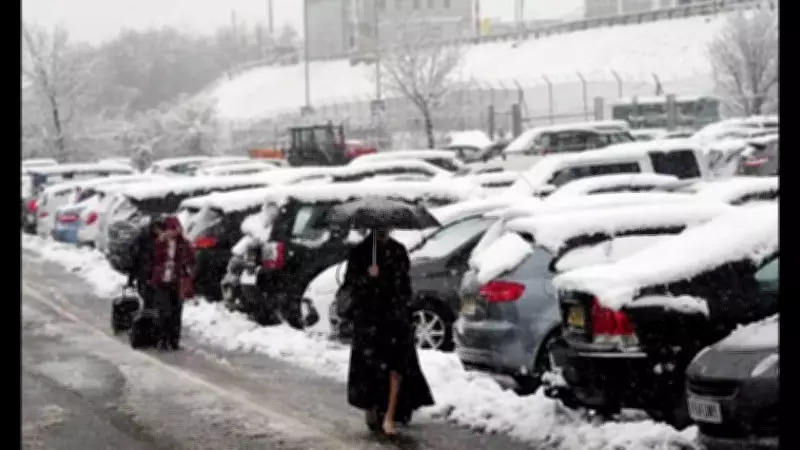 El Nino's 2026 Onset Predicted to Escalate Global Warming and Weather Extremes