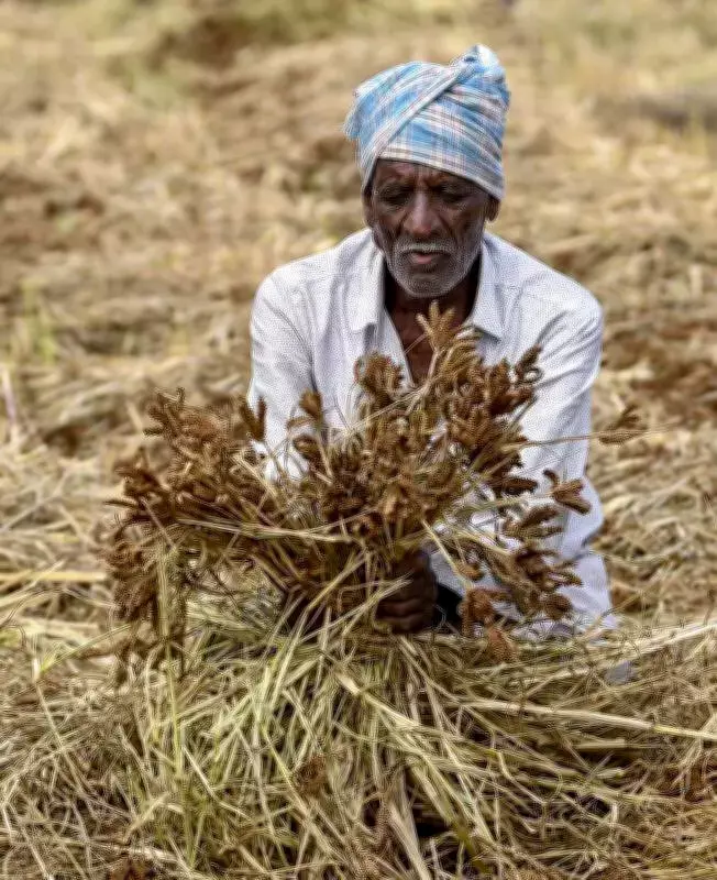 El Niño Threat Looms Over Karnataka: Farmers Urged to Shift to Short-Duration Crops