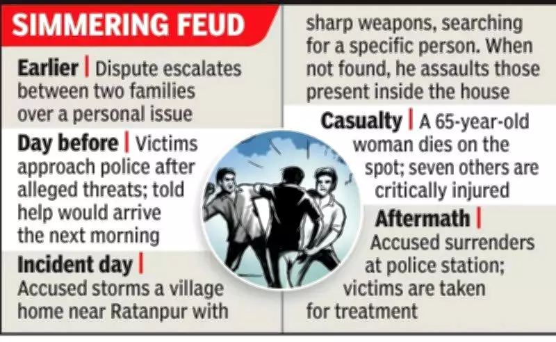 Elderly Woman Killed, Seven Injured in Bilaspur Family Feud Attack; One Arrested