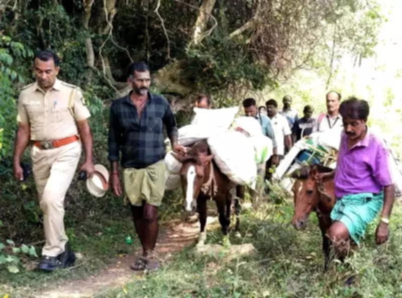 Election Officials in Tamil Nadu Use Horses, Mules to Reach Remote Voters