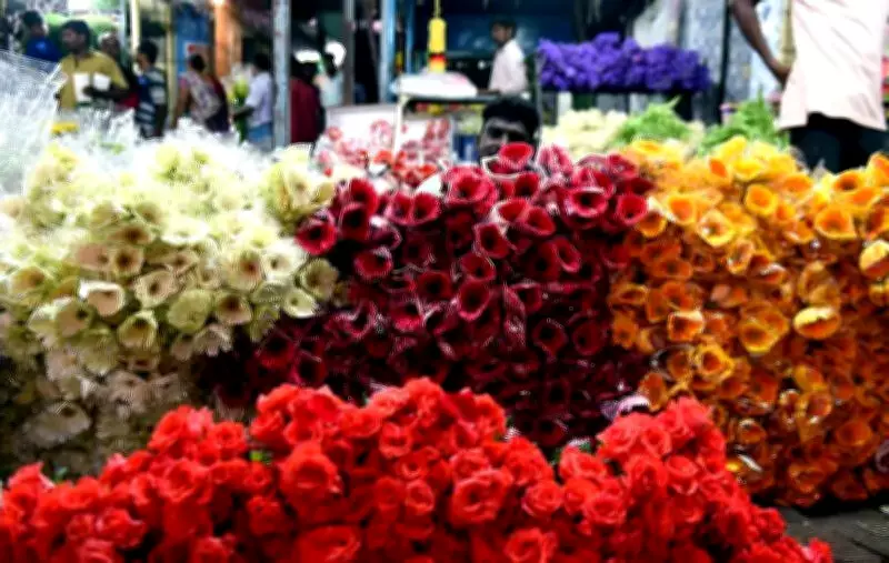 Elections Provide Crucial Boost to Chennai's Flower Market Amid Summer Slump