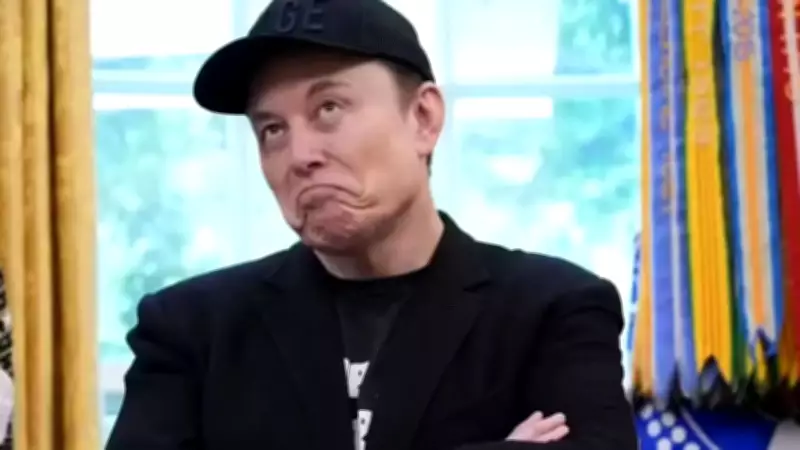 Elon Musk Calls Australians 'Endangered Species' Over Falling Birth Rate