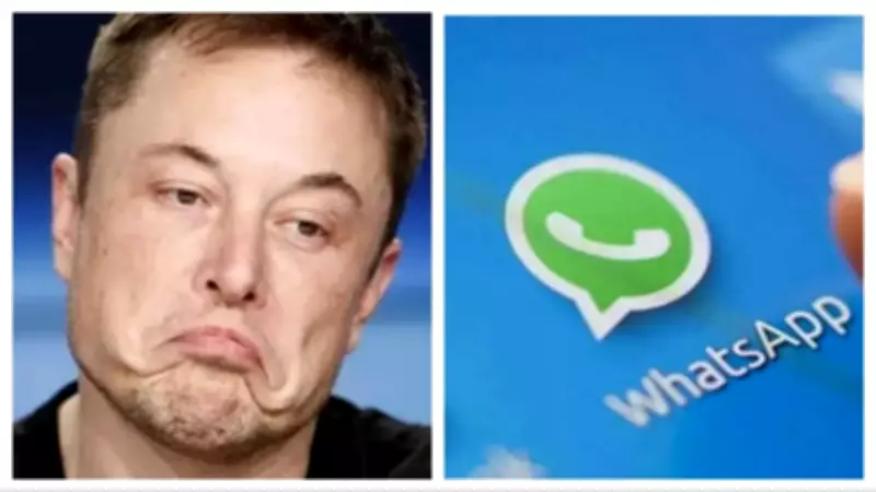 Elon Musk, Pavel Durov Slam WhatsApp's Encryption as 'Fraud' Amid Lawsuit