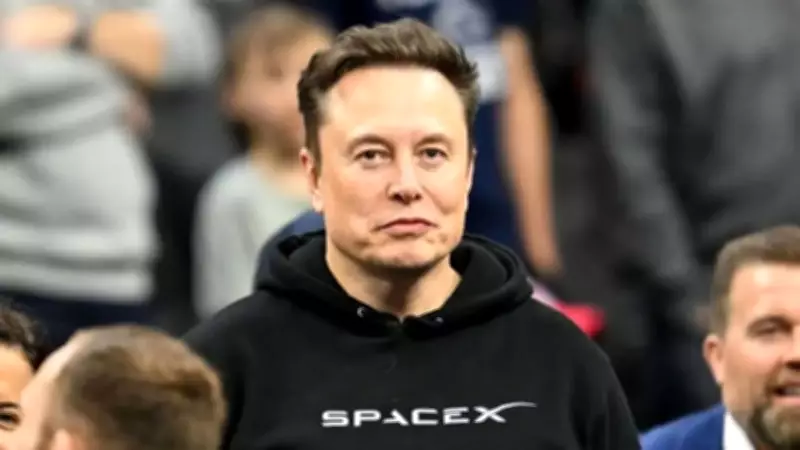 Elon Musk Sparks Debate After Calling Australians 'Endangered Species' Over Birth Rate Decline