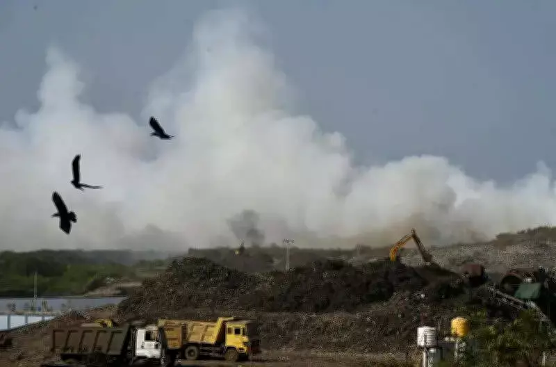 Environmental Issues Take Center Stage in Chennai's Election Discourse