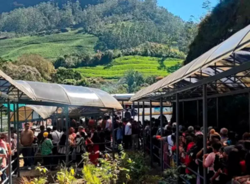 Eravikulam National Park Reopens After Breeding Season, Welcomes Newborn Nilgiri Tahrs