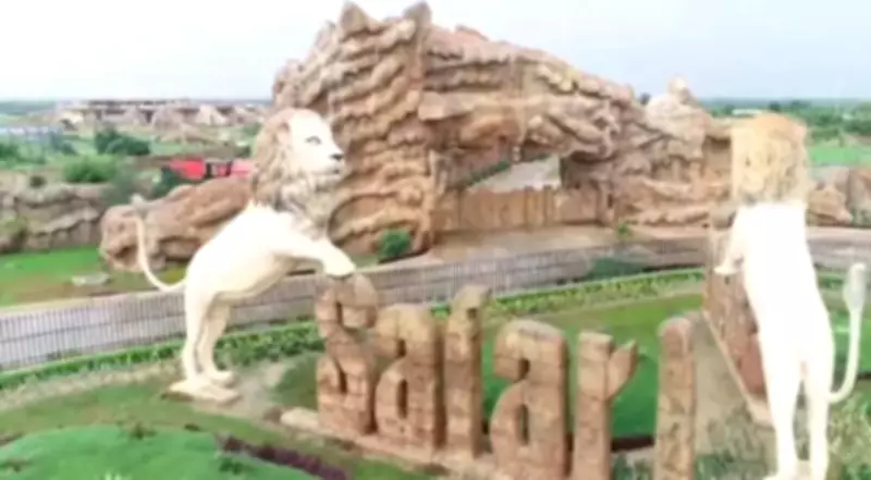 Etawah Safari Park Nears Completion of Lioness Search for Sultan and Simba