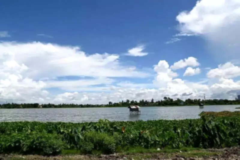 Experts at India-Germany Climate Talks Urge Monetization of Wetlands for Carbon Credits