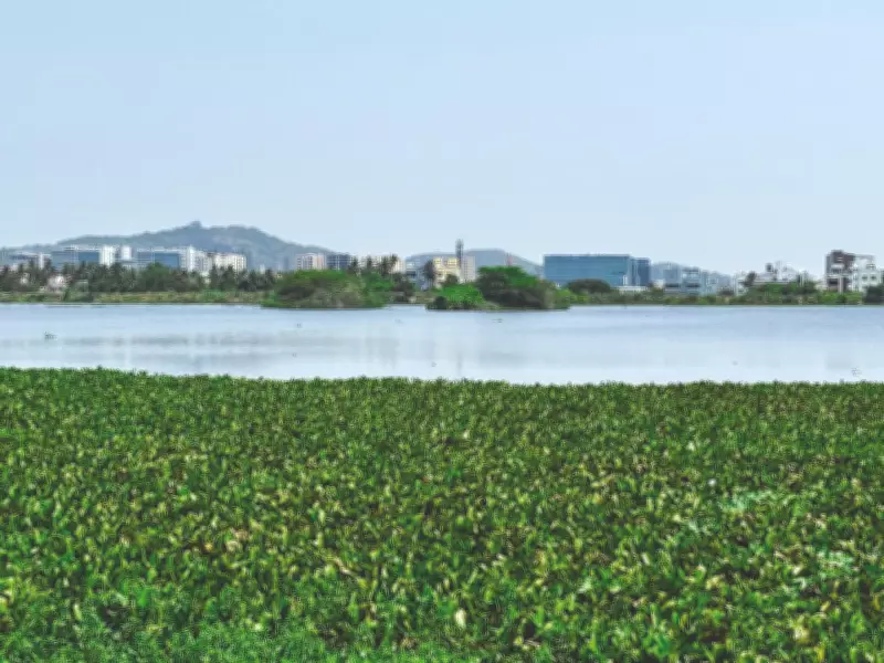 Explore Nanmangalam Forests: Trekking, Birdwatching, Nature Trails in Chennai