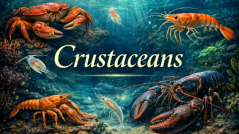 Exploring Crustaceans: The Diverse Marine Life with Exoskeletons
