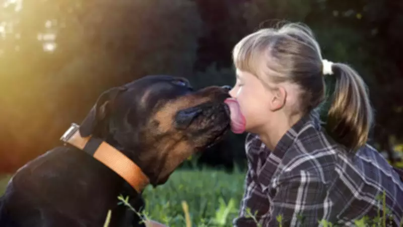 Extended Seasonal Transition Poses Greater Health Risks for Pets Than Humans