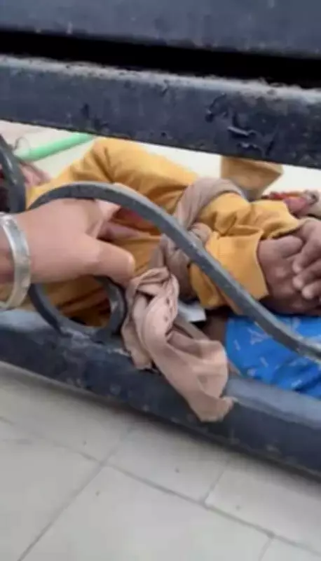 Faridkot ASI Suspended After Viral Video Shows Granddaughter Tied to Gate