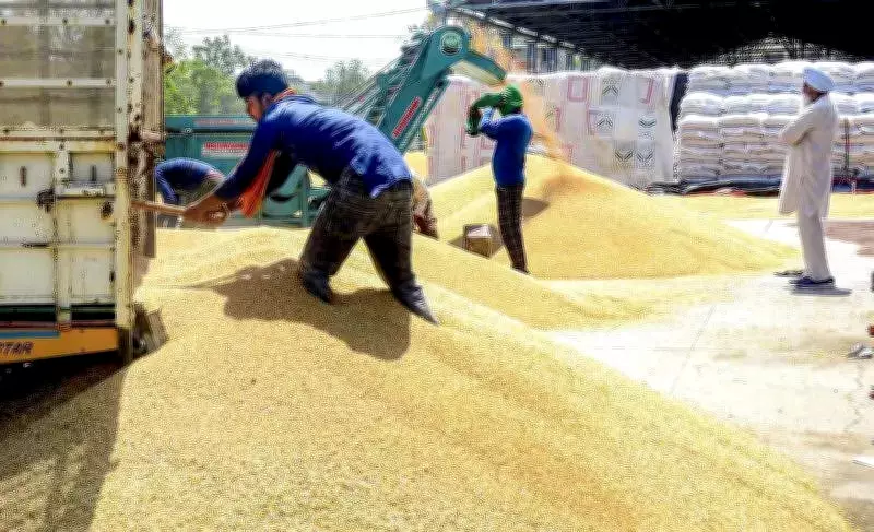 Farmers in Jind Observe Black Day on Ambedkar Anniversary to Protest New Crop Rules