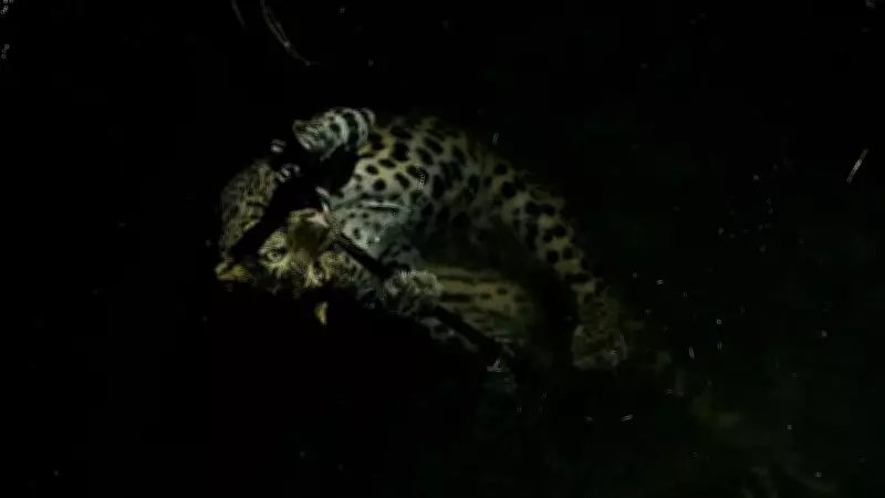 Female Leopard Rescued from 35-Foot Well in Maharashtra Forest