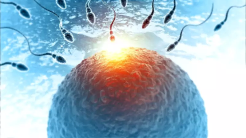 Fertility Expert Debunks Biological Clock Myths for Women