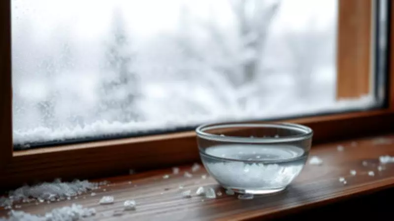 Fight Winter Window Fog with a Simple Salt Water Dehumidifier