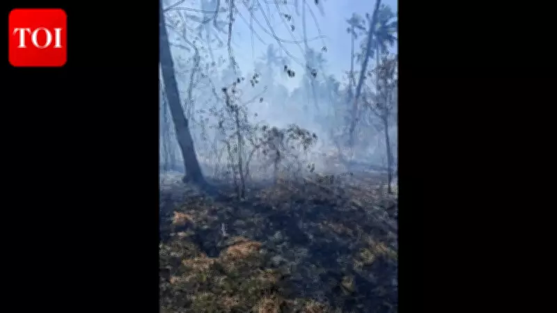 Fire Ravages Coconut and Betelnut Plantation in Honda, Sattari; Damage Estimated at Rs 80,000