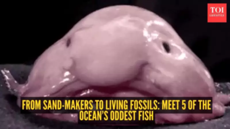 Five Bizarre Fish That Defy Biology and Redefine Ocean Diversity