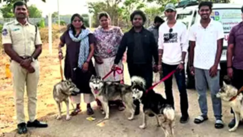 Five Siberian Huskies Found Abandoned Near Hyderabad, One Dead