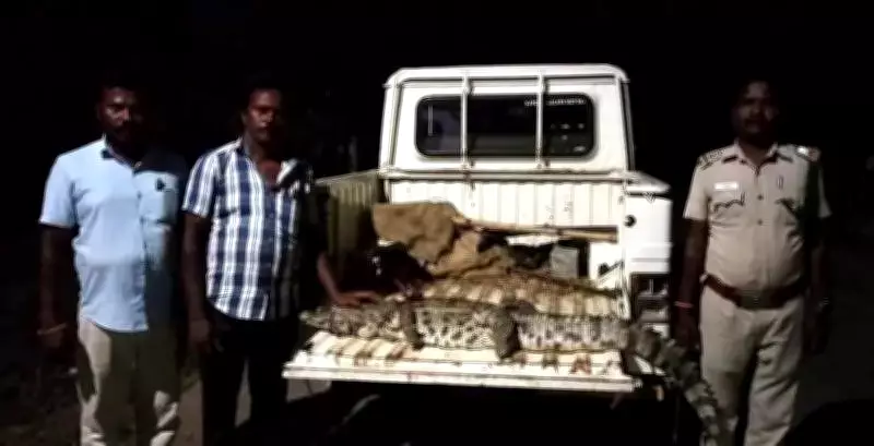 Forest Department Captures Seven-Foot Crocodile Terrorizing Tamil Nadu Village