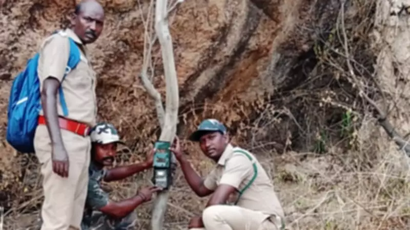 Forest Department Deploys Cage and Cameras to Capture Leopard in Coimbatore