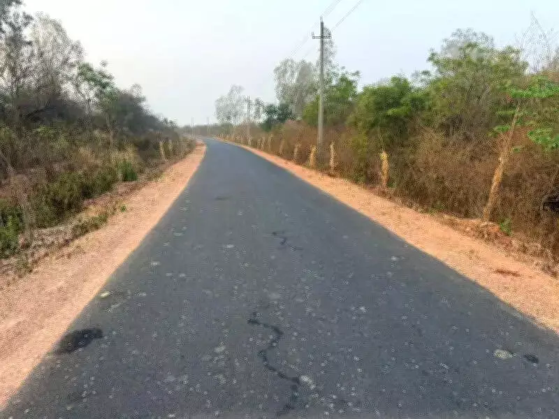 Forest Department Faces Rs 2 Crore Misuse Allegations in Haveri Plantation Scandal