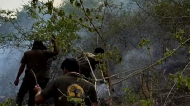 Forest Department Personnel Avert Major Wildfire in Karnataka
