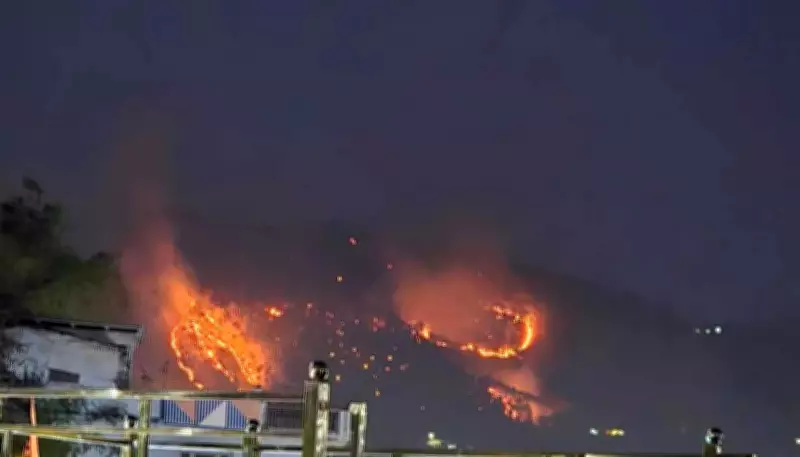 Forest Fire in Gageshwar's Ghiroli Sparks Wildlife Migration and Safety Concerns