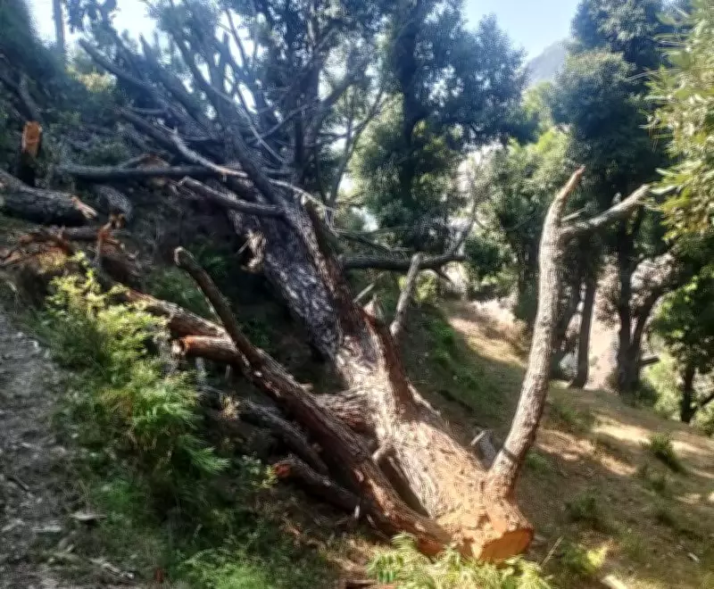 Forest Guard Suspended for Negligence in Yamunanagar District