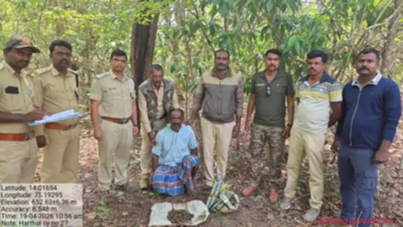 Forest Officials Arrest Man, Seize 45 Crude Bombs in Shivamogga Poaching Raid