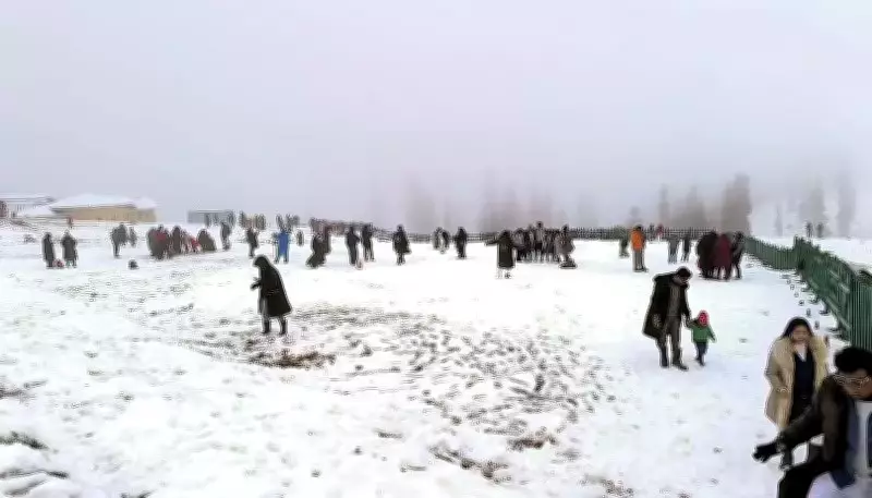 Fresh Snowfall in Kashmir's Higher Reaches, Plains Receive Showers