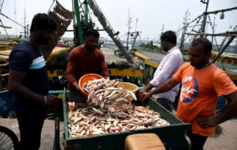 Freshwater Fish Prices Surge 40% in Vizag Due to Fishing Ban