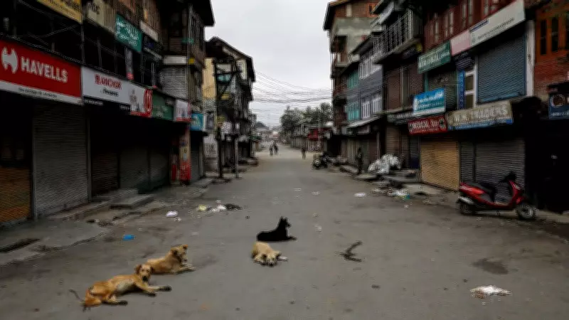 From Conflict to Companionship: Kashmir's Pets Move Indoors as Peace Prevails