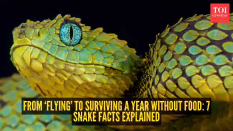 From Flying to Fasting: 7 Astonishing Snake Facts That Redefine Nature's Engineering