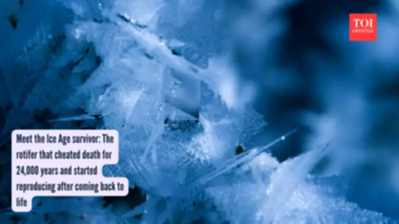Frozen for 24,000 Years: Microscopic Animal Wakes Up, Starts Family in Siberia