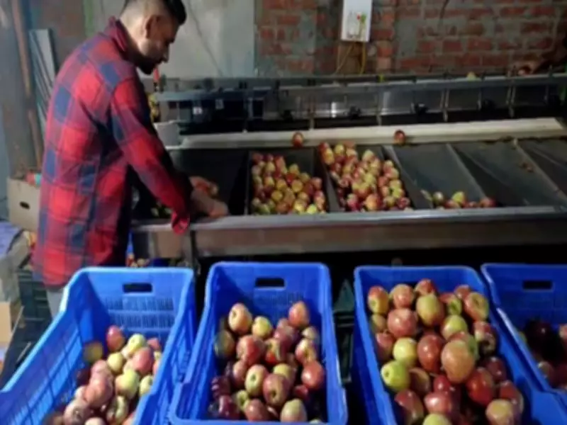 FSSAI Mandates Nationwide Crackdown on Illegal Fruit Ripening Agents