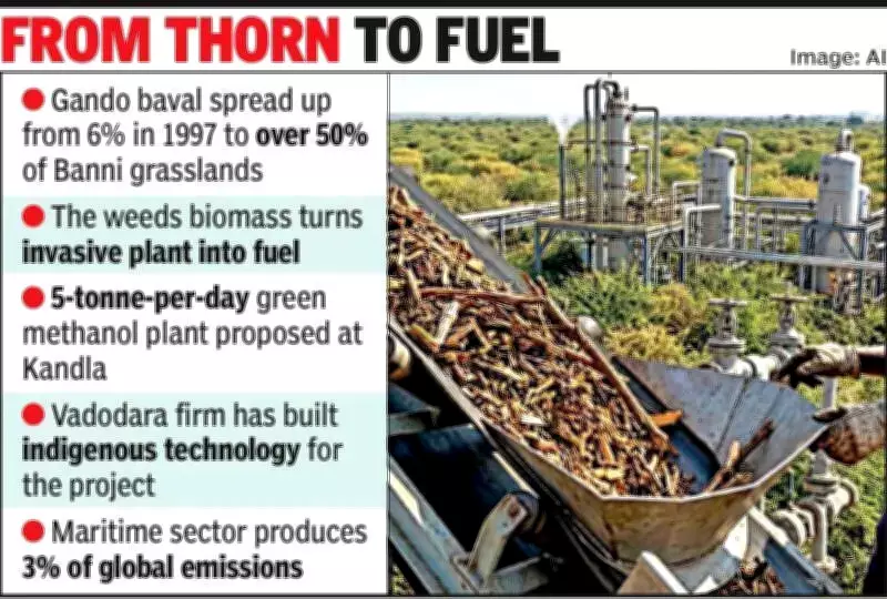 Gando Baval: From Ecological Menace to Green Methanol Pioneer in Gujarat