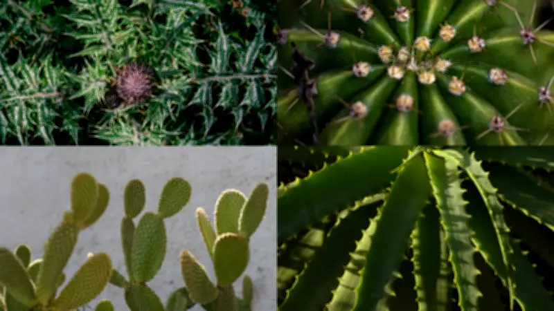 Genetic Secrets of Plant Thorns Revealed: How Evolution Creates Natural Defenses