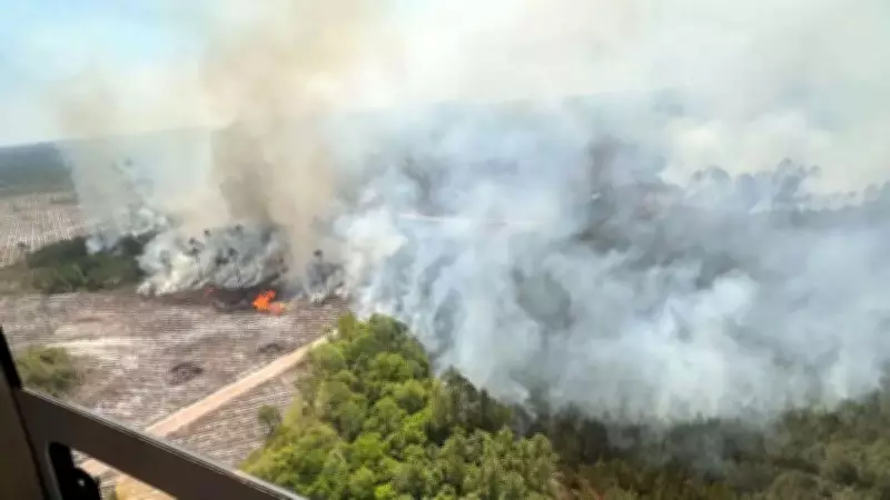Georgia Wildfire Doubles in Size, Exceeds 80 Sq Km, Destroys 87 Homes