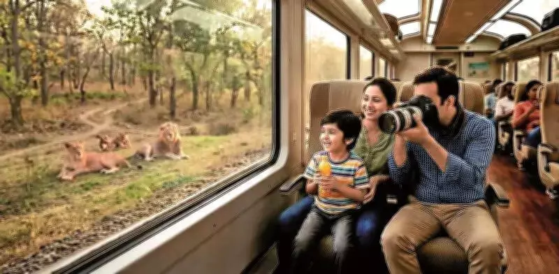 Gir Lion Safari Train: 360-Degree Views of Wild Gujarat