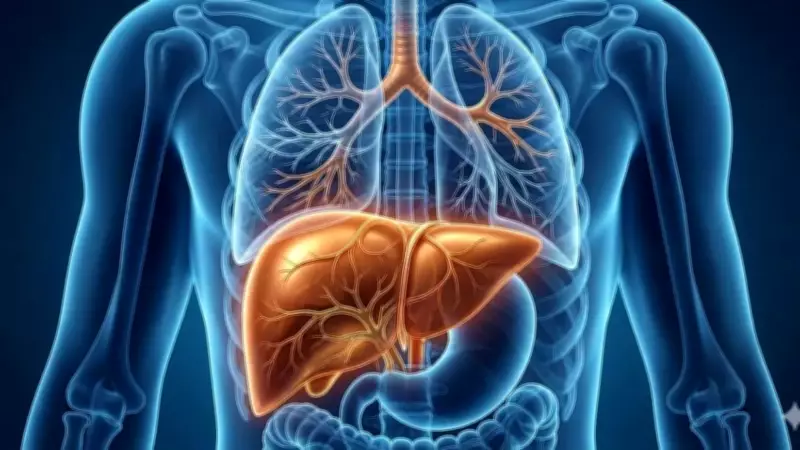 Global MASLD Cases Surge 143% Since 1990, 1.3 Billion Affected in 2023