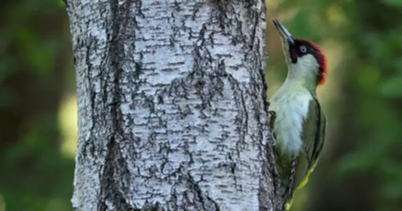 Global Photo Highlights: From Ganga's Receding Waters to Baisakhi Prayers