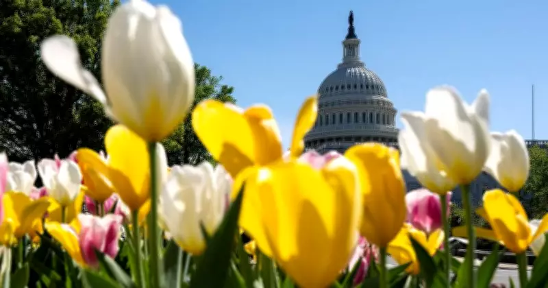 Global Photo Highlights: From Polish Nuns to Lunar Eclipse Views
